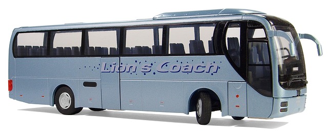 striking coach Tempe