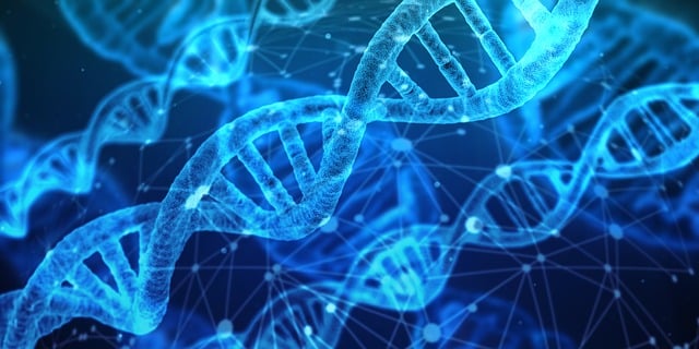Structured Data Training