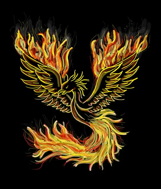 Submission Wrestling school Phoenix
