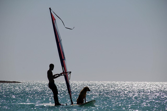 surfboard for beginners