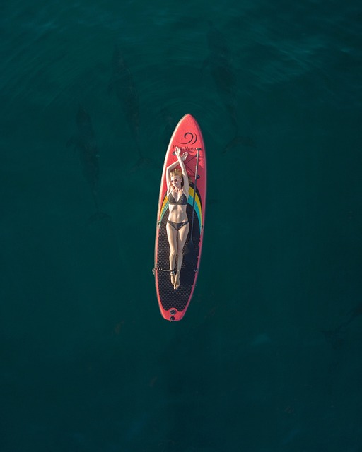 surfboard for beginners