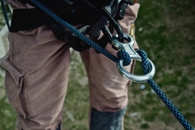 tactical dog harness