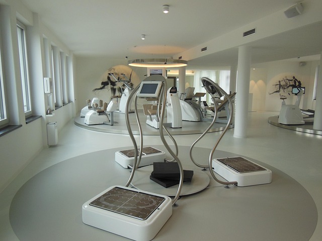 Tempe dojo gym