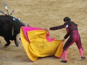 Tempe Self-Defense: Explore Martial Arts Options for All Disciplines