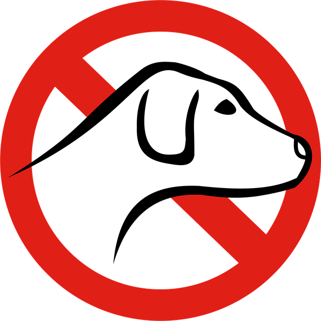 Tempe grappling no-gi