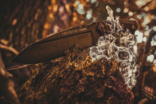 Tempe submission basics