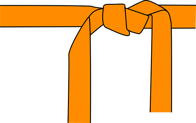 Tempe youth self-defense training