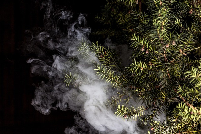 THC-A Vape Cartridge