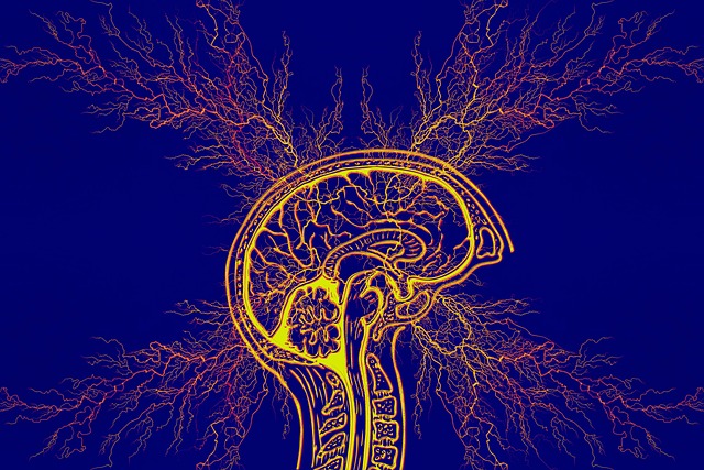 therapy for ADHD Scottsdale