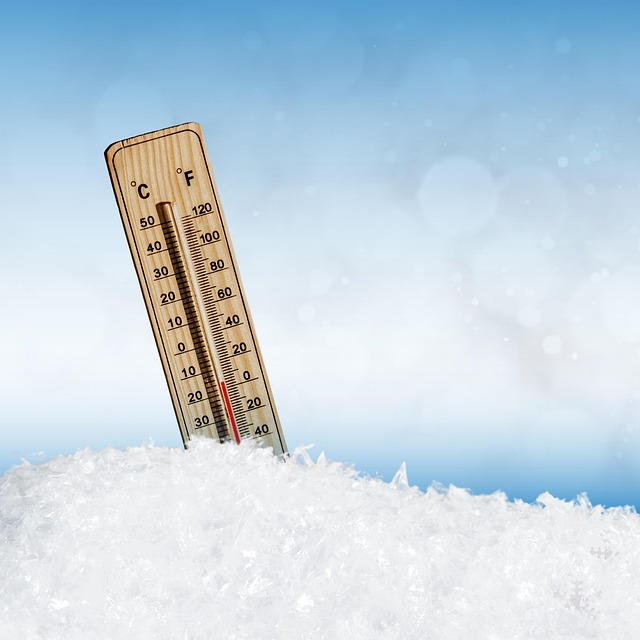 Thigh and Arm Fat Freezing