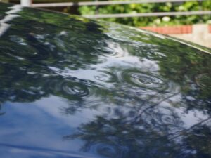 Navigating Top Auto Insurance Companies: Factors & Trends for Local Coverage