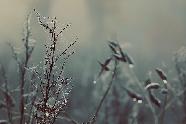 top web design trends