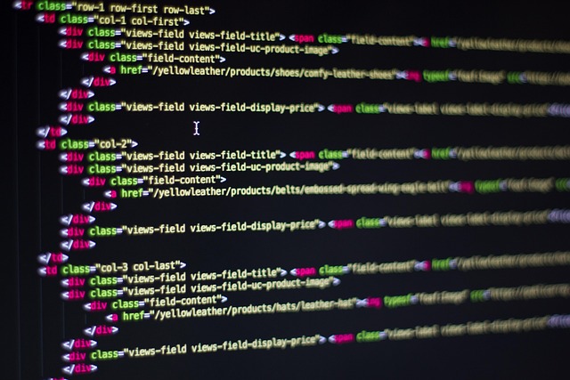 top web development company