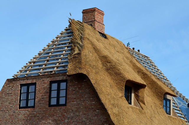 TPO roofing