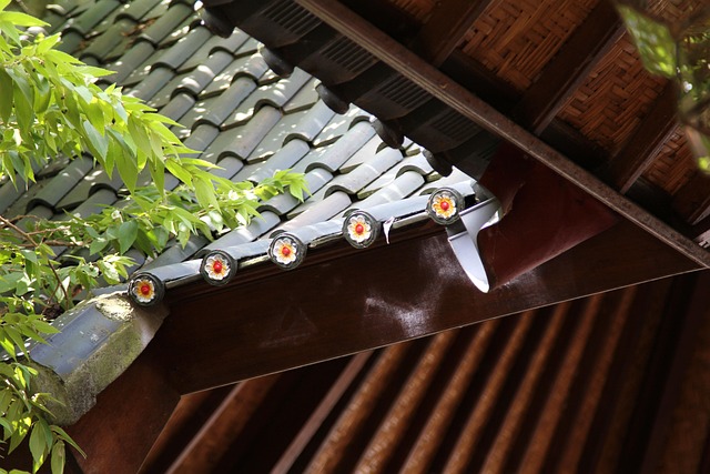 TPO Roofing: Efficient, Durable, Eco-Friendly Energy Solution