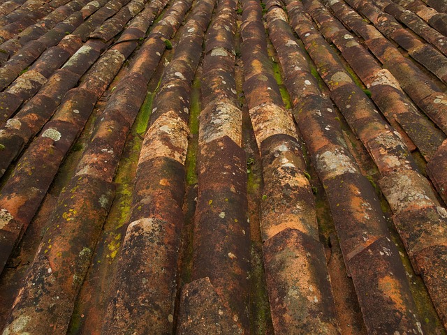 TPO roofing company