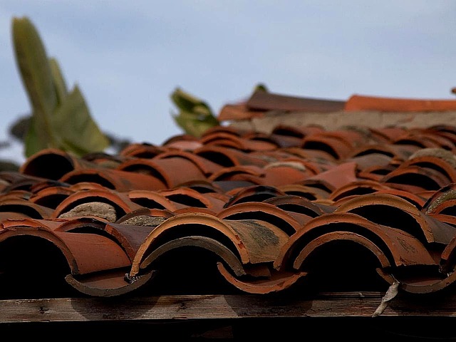 TPO roofing services