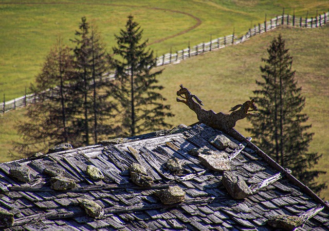 TPO roofing services