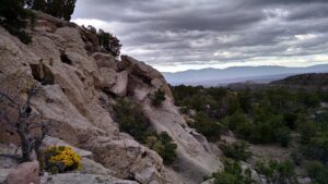 Trauma Recovery Mesa: Healing Childhood & PTSD Through Therapy