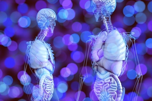 Understanding the Endocannabinoid System