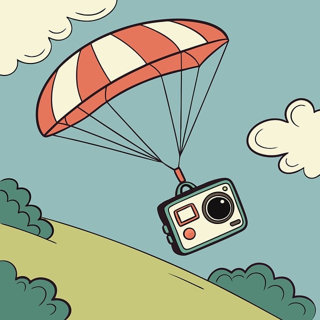 video divorce mediator