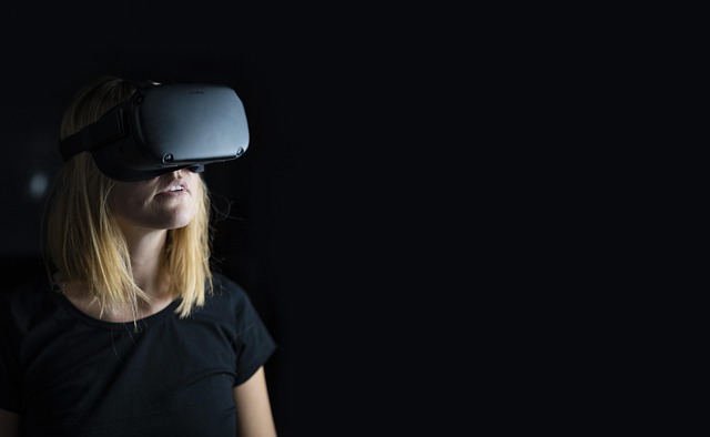 virtual IT director CPA