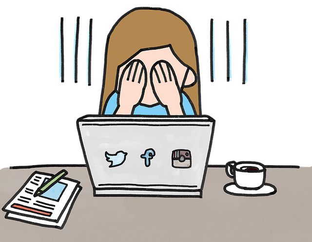 web mediation services