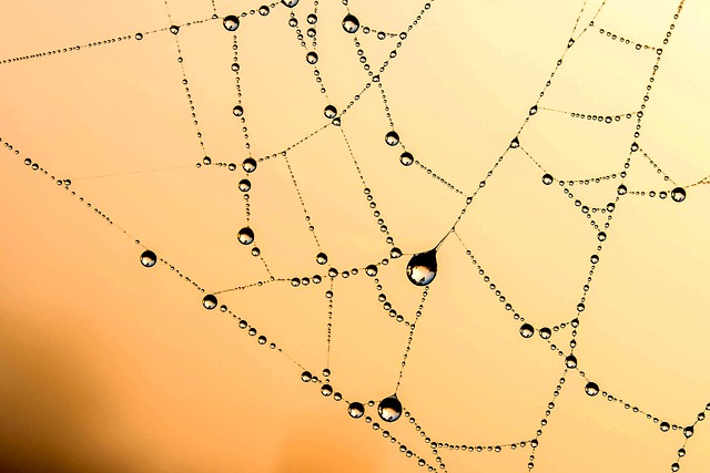 web mediation services