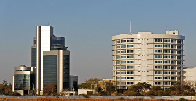 website development agency