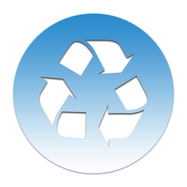 WebSite JSON-LD