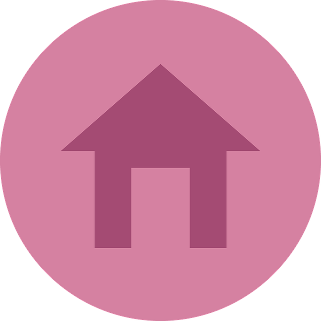 WebSite JSON-LD
