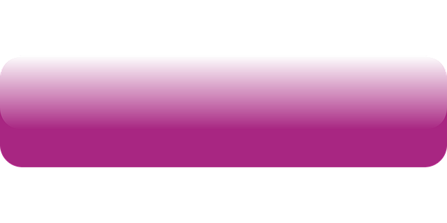 WebSite JSON-LD