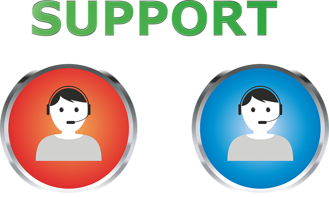 website support and redesign