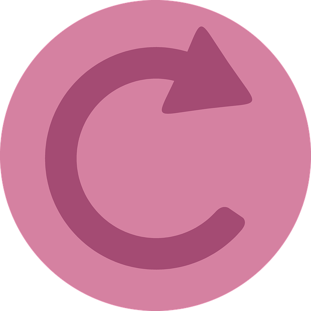 website update services