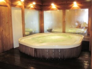 wellness-spa-austin-640x480-24498280.jpeg