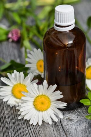 Unveiling Austin’s Top Holistic Wellness Centers for Acupunture, Detox & More