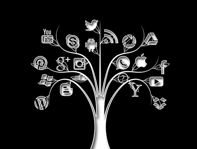 WordPress linking plugin plugin