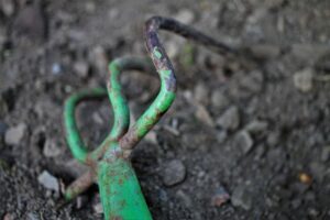 Master WordPress Internal Linking with the Right Plugin