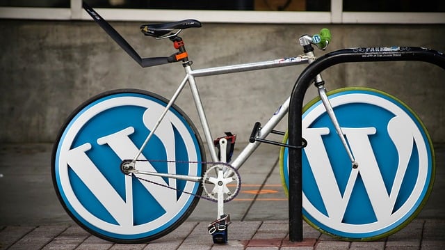 Affordably Craft a Stunning WordPress Site Customization Guide