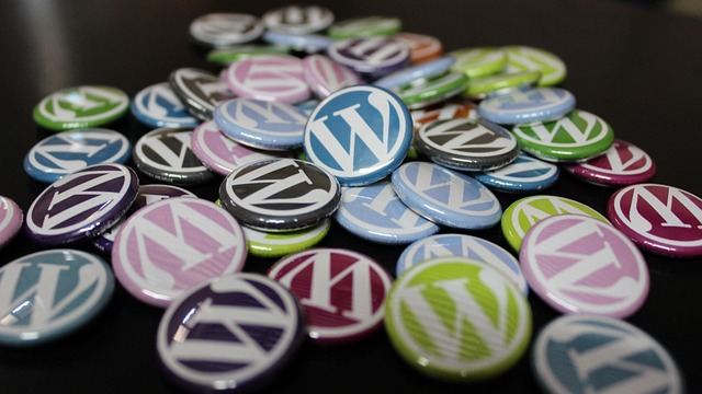 WordPress UX design