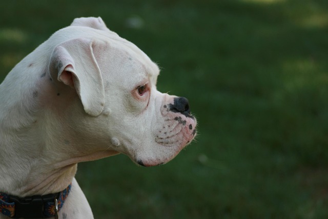Wrinkle Reduction
