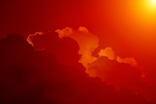 Xero cloud access