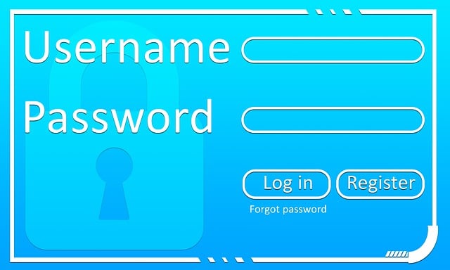 Xero cloud access