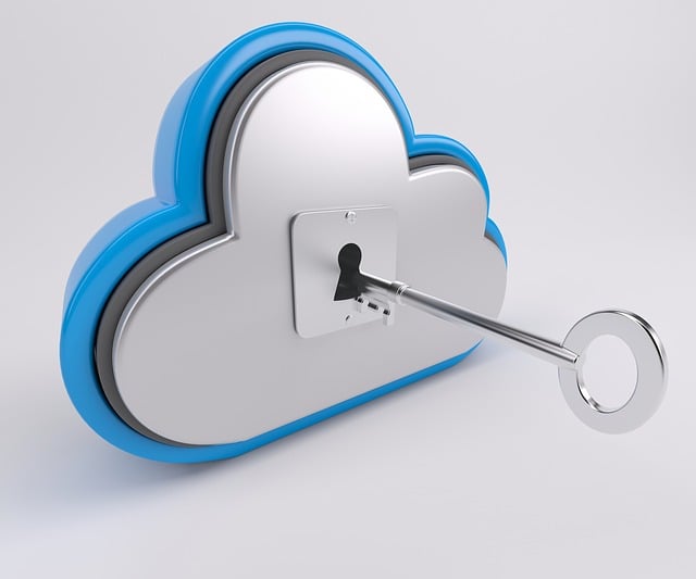 Xero cloud access