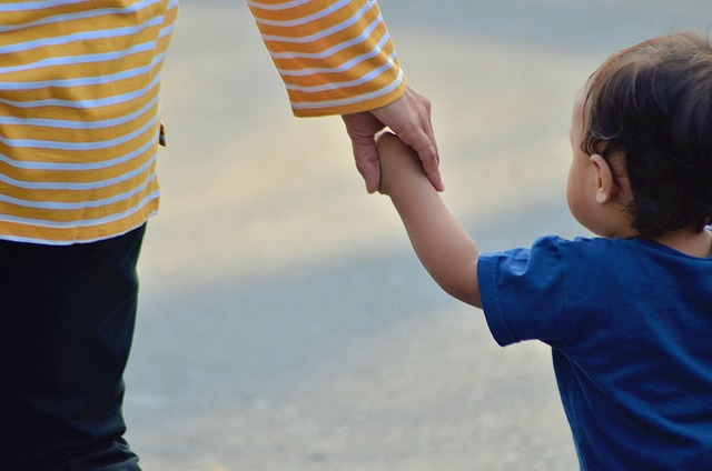 Zoom-based family mediator
