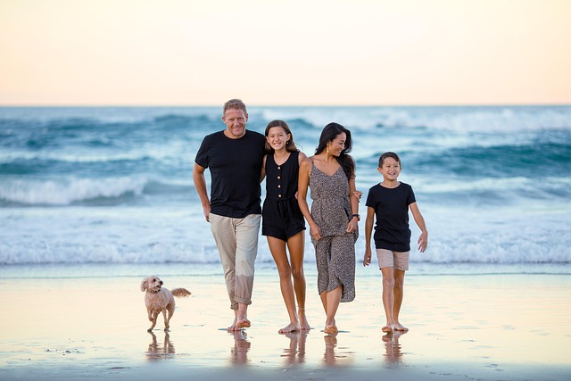 Zoom-based family mediator