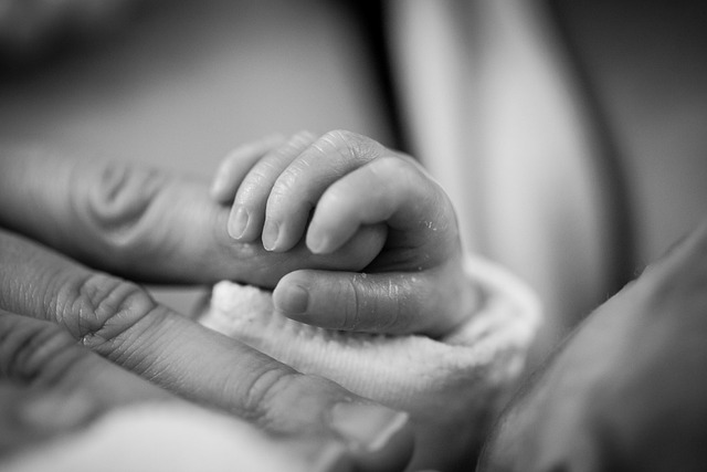 Zoom-based family mediator