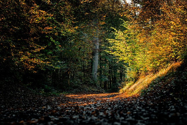Breadcrumb Trail Schema
