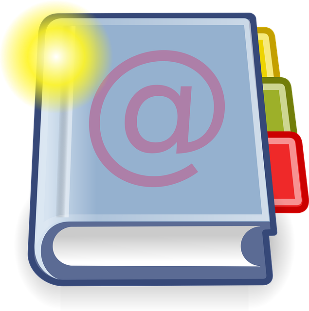 Organization Structured Data