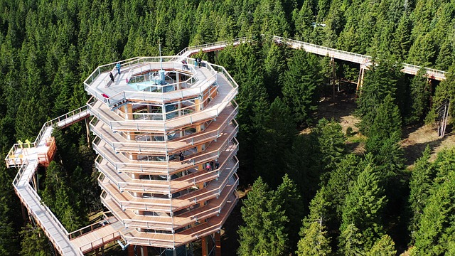 Cosmetic Procedures: Safety, Risks, and Patient Care